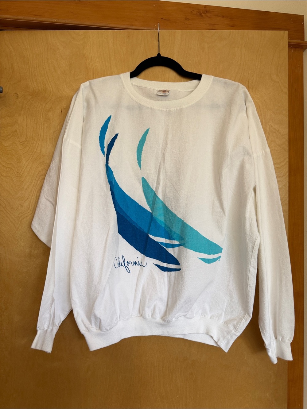 Cozy Shirt Hawaii California Whale Graphic Long Sleeve